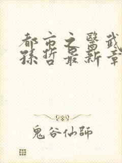 都市之医武风流孙哲最新章节在线阅读