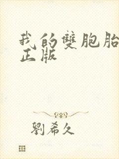 我的双胞胎老婆正版