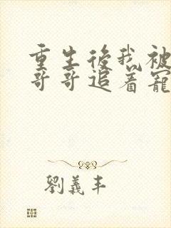 重生后我被三个哥哥追着宠