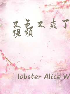 又色又爽了又黄视频