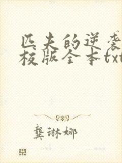 匹夫的逆袭 精校版全本txt