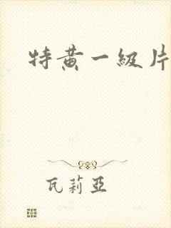 特黄一级片播放