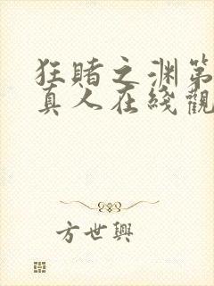 狂赌之渊第二季真人在线观看