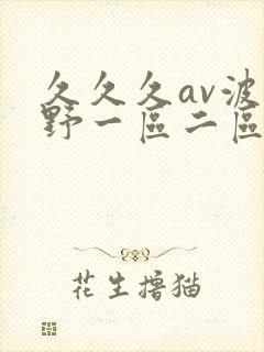 久久久av波多野一区二区