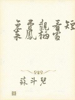 免费观看短剧归来凤栖处