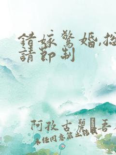 错嫁惊婚,总裁请节制