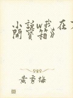 小说w我在末日开宝箱》