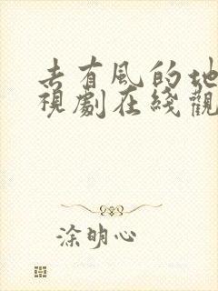 去有风的地方电视剧在线观看高清