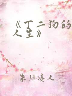 《丁二狗的逆袭人生》