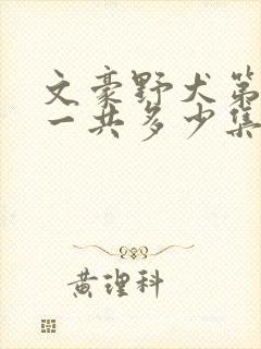 文豪野犬第二季一共多少集