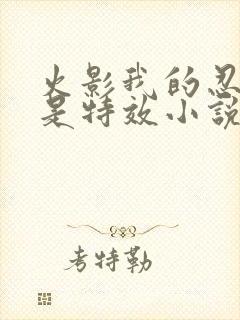 火影我的忍术全是特效小说