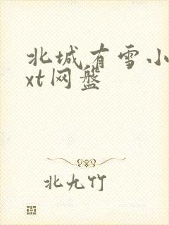 北城有雪小说txt网盘