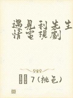 遇见利先生的爱情电视剧