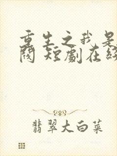 重生之我是大财阀 短剧在线观看