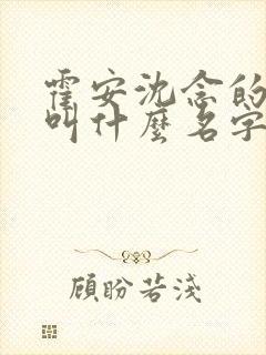 霍安沈念的小说叫什么名字