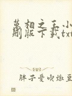 万相之王小说未删版下载txt