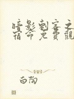 暗影刺客之暗影宿命免费观看