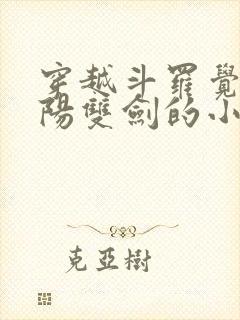 穿越斗罗觉醒阴阳双剑的小说