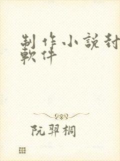 制作小说封面的软件