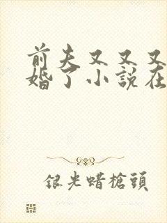 前夫又又又想复婚了小说在哪看