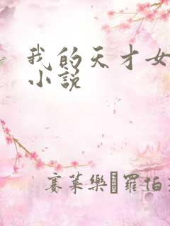 我的天才女友 小说