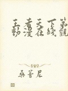 王者天下第一季动漫在线观看