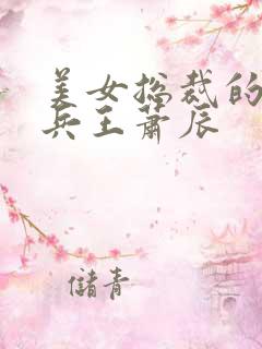 美女总裁的贴身兵王萧辰