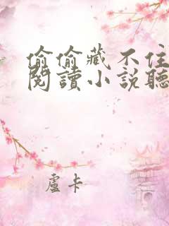 偷偷藏不住免费阅读小说听书