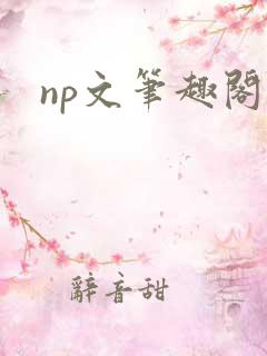 np文笔趣阁