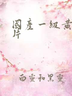 国产一级黄色淫片