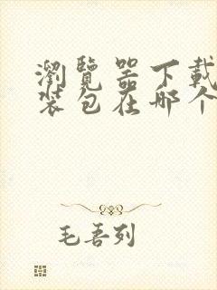 浏览器下载的安装包在哪个文件夹