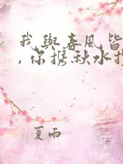 我与春风皆过客, 你携秋水揽星河