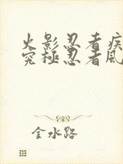 火影忍者疾风传究极忍者风暴下载