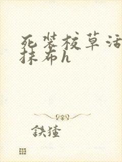 死装校草活该被抹布h