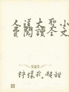 人道大圣小说免费阅读全文无窗口