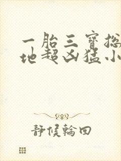 一胎三宝总裁爹地超凶猛小说免费阅读