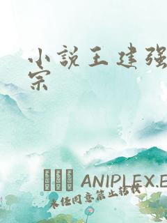 小说王建强合欢宗