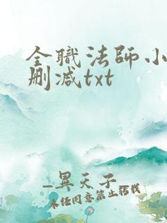 全职法师小说无删减txt