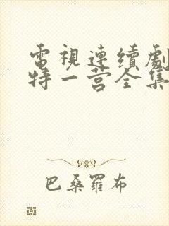 电视连续剧我的特一营全集完整版