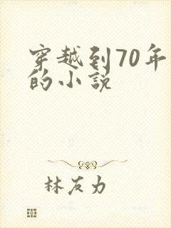 穿越到70年代的小说