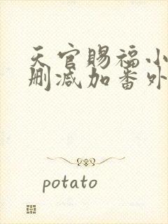 天官赐福小说无删减加番外txt