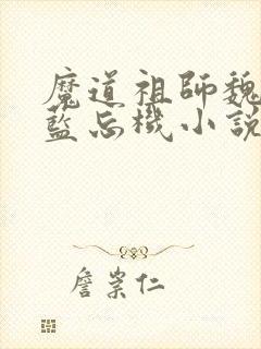 魔道祖师魏无羡蓝忘机小说