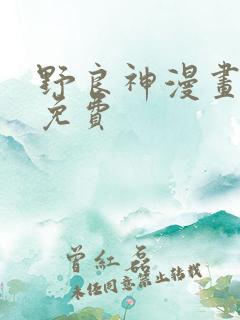 野良神漫画全集免费