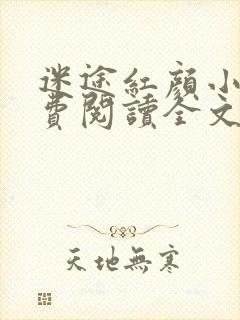 迷途红颜小说免费阅读全文最新章节