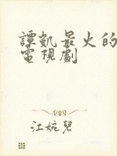 谭凯最火的三部电视剧