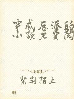 穿成反派的老婆小说免费阅读