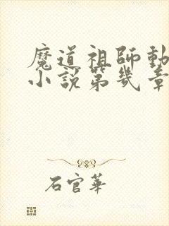 魔道祖师动漫是小说第几章