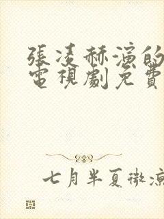 张凌赫演的爱你电视剧免费观看