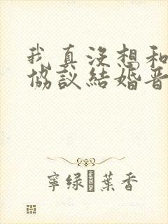 我真没想和大佬协议结婚晋江