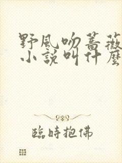 野风吻蔷薇原著小说叫什么名字